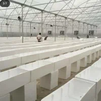 گلخانه سازی