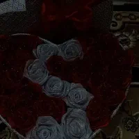 گل رز ربانی حجیم پرنسا0|گل و گیاه طبیعی|شیراز, کوشک میدان|دیوار