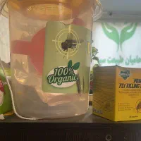 سمپاشی سوسک ساس و کنه وکلیه حشرات۱۰۰درصد تضمینی|خدمات نظافت|قزوین, |دیوار