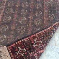 قالیچه دستباف|فرش|گرگان, |دیوار