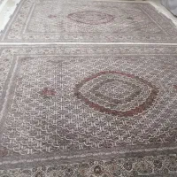 جفت فرش ماهی رج 40 خوی|فرش|کرمانشاه, |دیوار