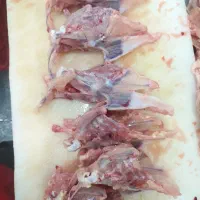 اسکلت مرغ برای حیوانات خانگی