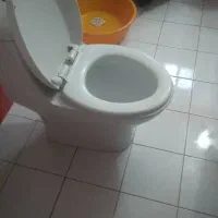 توالت فرنگی|لوازم سرویس بهداشتی|لاهیجان, گلستان|دیوار