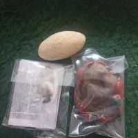 سنگ قیمتی