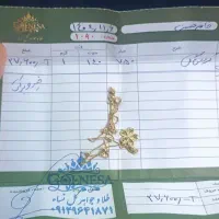 طلا گردنبند قیمت تابلو
