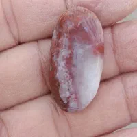 شجر پاییزه|جواهرات|قزوین, |دیوار