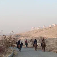 آموزش صفر تاصد سوارکاری به صورت حرفه ای۱۰۰٪ تضمینی|اسب و تجهیزات اسبسواری|تبریز, |دیوار