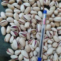 خریدار-منزل-مسکونی-نوساز-شناژ-بتن-ده-قصبی-به