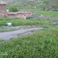 فروش خانه وزمین|فروش خانه و ویلا|نمشیر, |دیوار