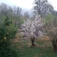 1000-متر-زمین-بافت-روستایی