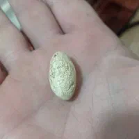 مهره