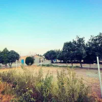 مرغداری-تخمگذار-فعال-پروانه-فعال