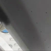 اتوپرس فوماژاپن اصلی مدل ۳۴۰۰|اتو و لوازم اتو|کرمان, |دیوار