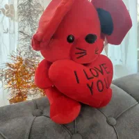 عروسک زیبا|اسباب‌‌بازی|گرگان, |دیوار