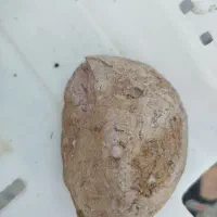 سنگ برای نگین انگشتر