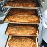 کارگاه تولید  انواع فر فانتزی و کره ای