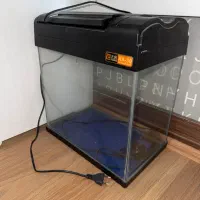 آکواریوم ماهی