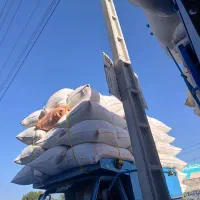 کاه