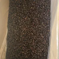 کشمش پلویی آفتاب خشک