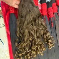 سال انسان اسب