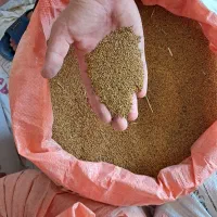بذریونجهدرجهیکوتمیز