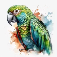 اموزش نقاشی ابرنگ