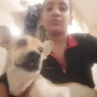 حوانات سگ|سگ|چناران, |دیوار