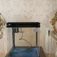 اکواریوم
