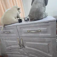 تخت کودک|تخت و صندلی بچه|خاوران, |دیوار