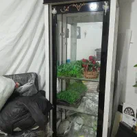 بوفه ویترینی پشت اینه