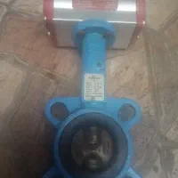 شیر بادی