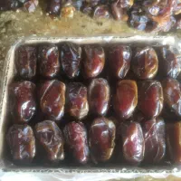 خرمای کبکاب دشتستان|حراج|شیراز, شهرک سراج‎|دیوار