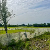 زمین باغی با ویوی بی‌نظیر در بیربنه بالا(گیلان)|فروش زمین و ملک کلنگی|آستانه اشرفیه, |دیوار
