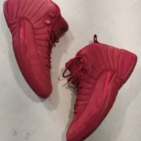jordan 12|کیف، کفش، کمربند|تهران, دزاشیب|دیوار