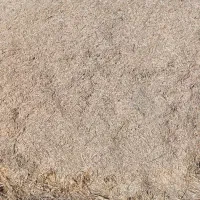 علوفه خشک (گیاه)