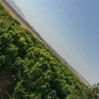 فروش باغ یک هکتاری