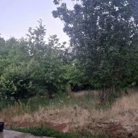 فروش-باغ