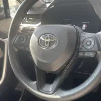 راوفور خشک خاکستری