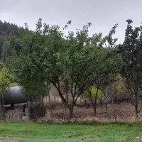 زمین  باغی درباقرآباد