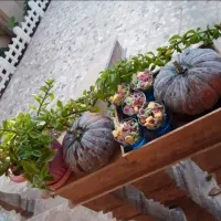 قند های تزئینی طعم دار خوراکی