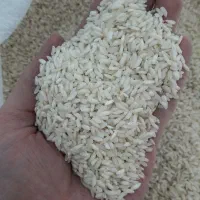 برنج عنبربو