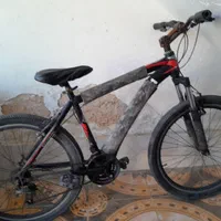 دچرخه