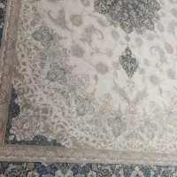 فرش ۹متری|فرش|شیراز, شاه قلی بیگی|دیوار
