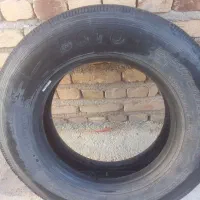 لاستیک بوتو|قطعات یدکی و لوازم جانبی|فامنین, |دیوار