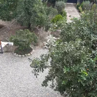 خونه باغ