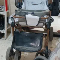 کالسکه دلیجان بنیتا