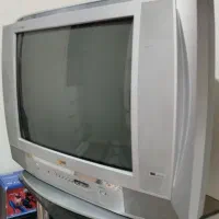 تلویزیون