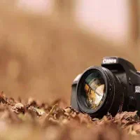 مدل بدون چهره خانم