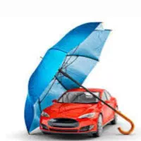 دوست داری نماینده کارگزاری باشی