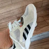 zxصندل در حد